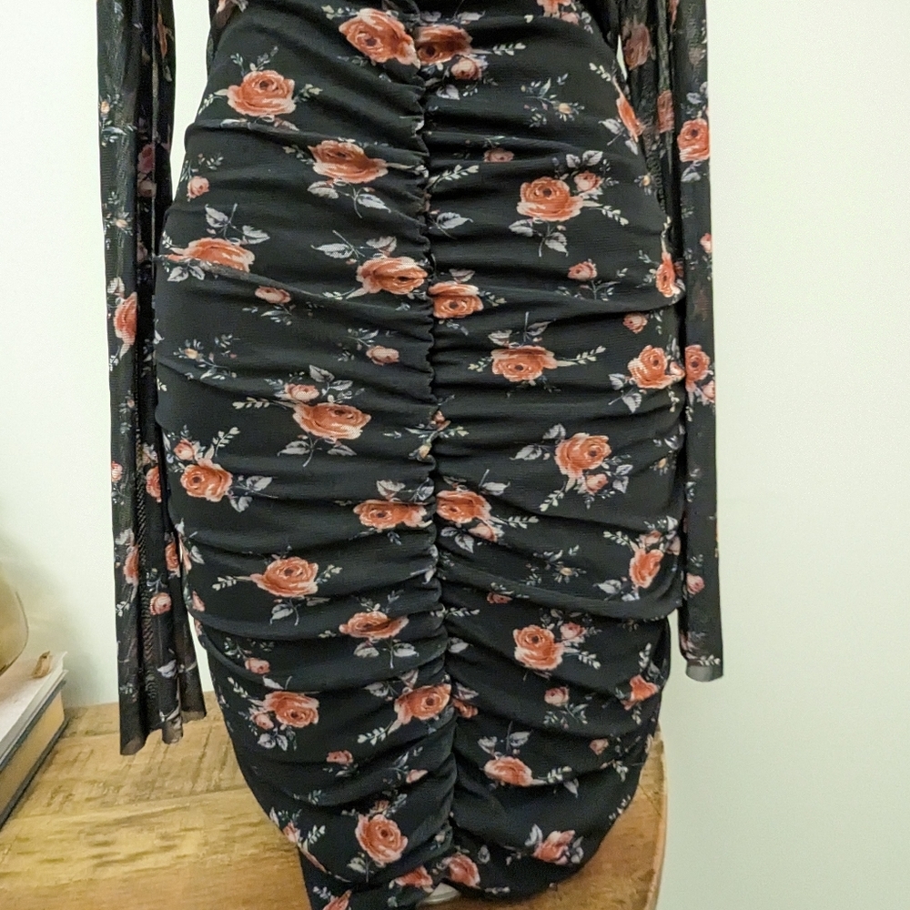 Zara Ruched Tulle Rose Pattern Dress with Mesh Long Sleeves - Picture 10 of 14